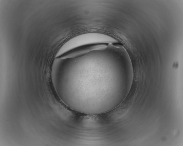 X0000090870077200707271259