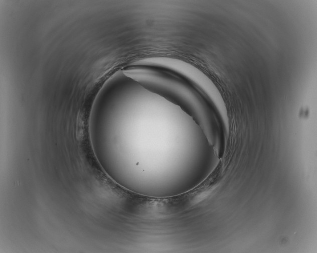 X0000090870080200707271259