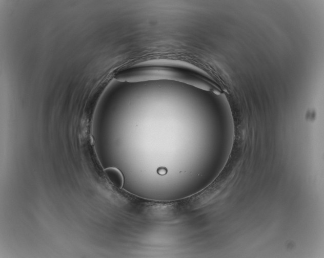 X0000090870081200707271259