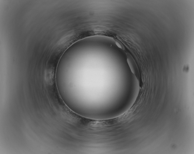 X0000090870082200707271259