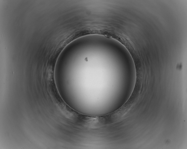 X0000090870083200707271259