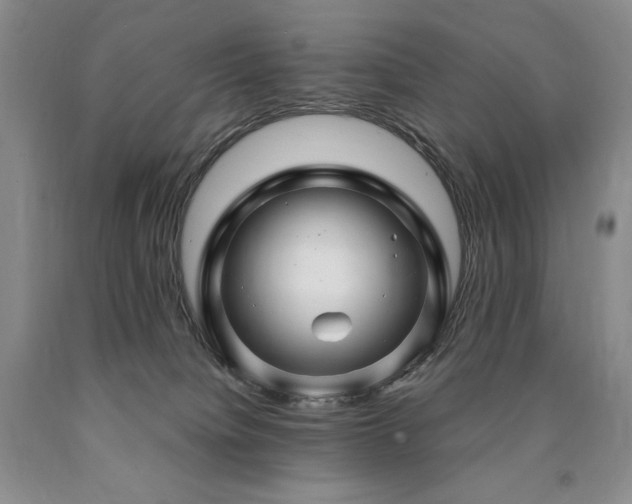 X0000090870084200707271259