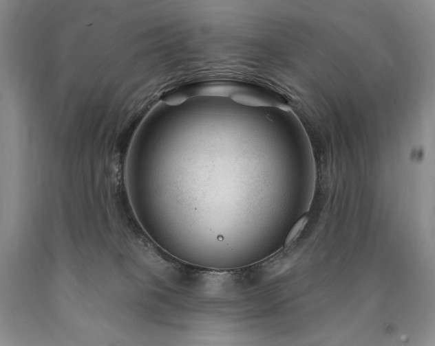 X0000090870085200707271259