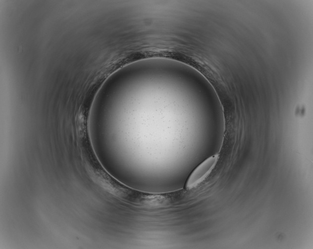 X0000090870087200707271259