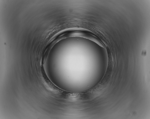 X0000090870088200707271259