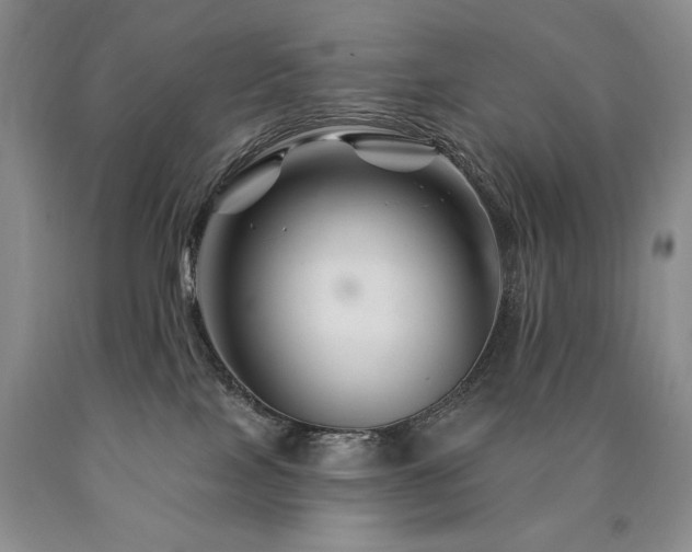 X0000090870089200707271259