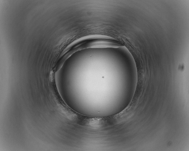 X0000090870090200707271259