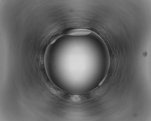 X0000090870091200707271259