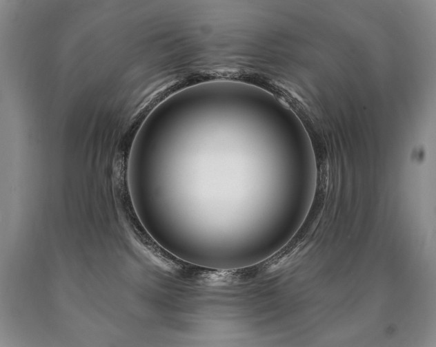 X0000090870092200707271259