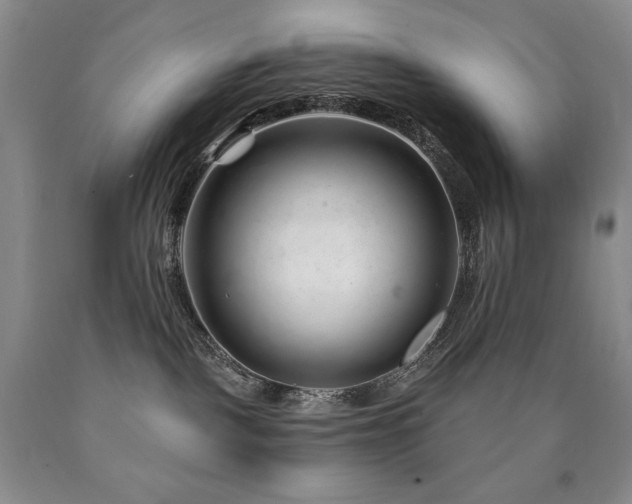 X0000090870093200707271259