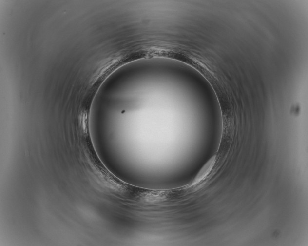 X0000090870094200707271259