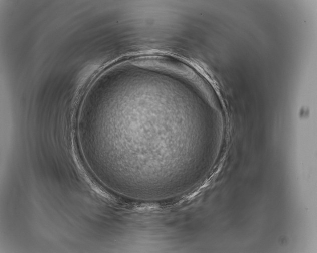 X0000090870097200707271259