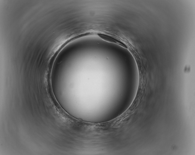 X0000090870098200707271259