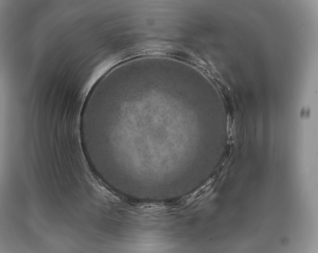 X0000090870099200707271259