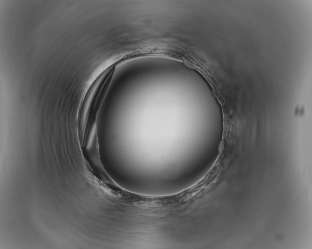 X0000090870100200707271259