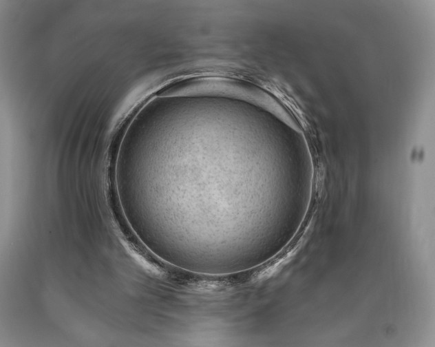 X0000090870101200707271259