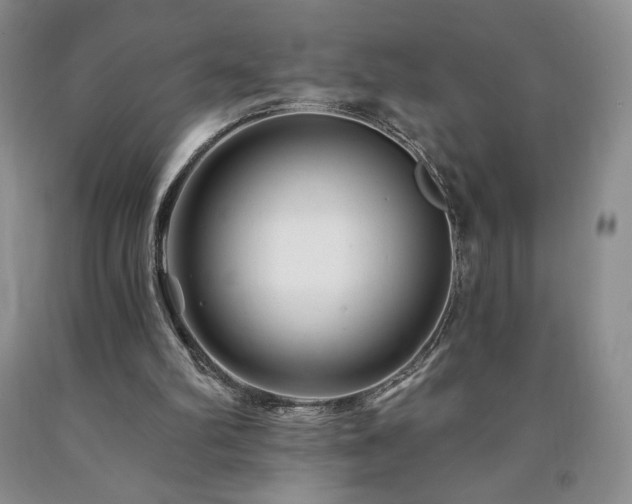 X0000090870102200707271259