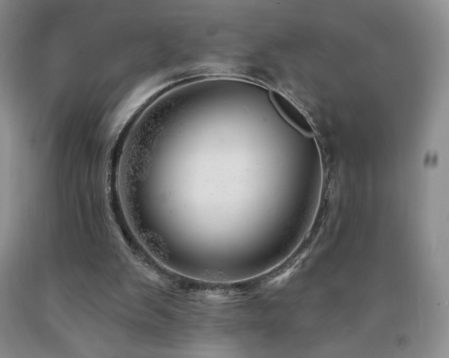 X0000090870103200707271259