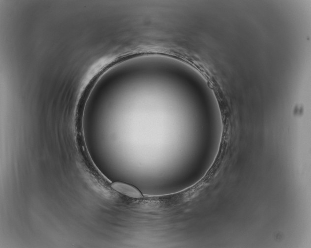 X0000090870104200707271259