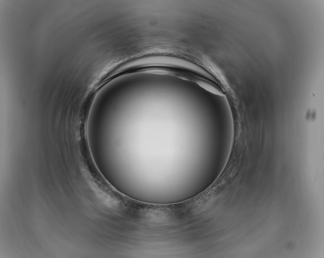 X0000090870106200707271259