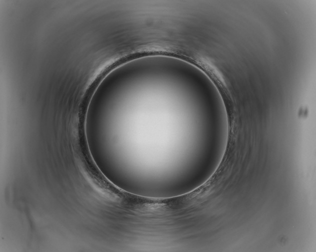 X0000090870108200707271258