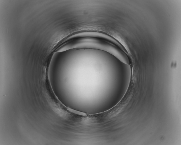 X0000090870109200707271258