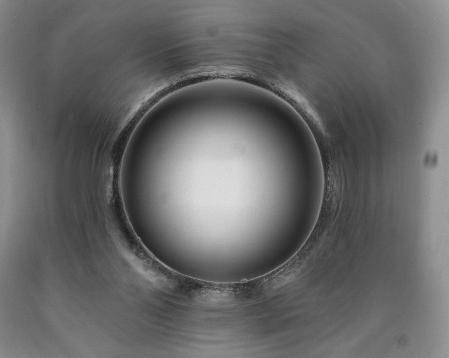 X0000090870110200707271258