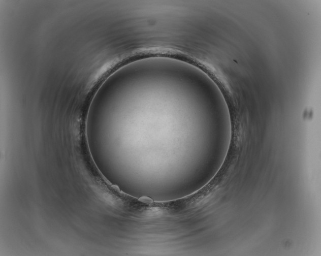 X0000090870111200707271258