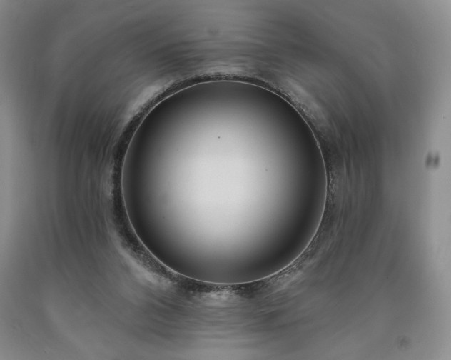 X0000090870112200707271258