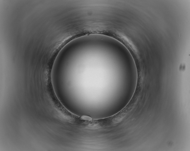 X0000090870113200707271258