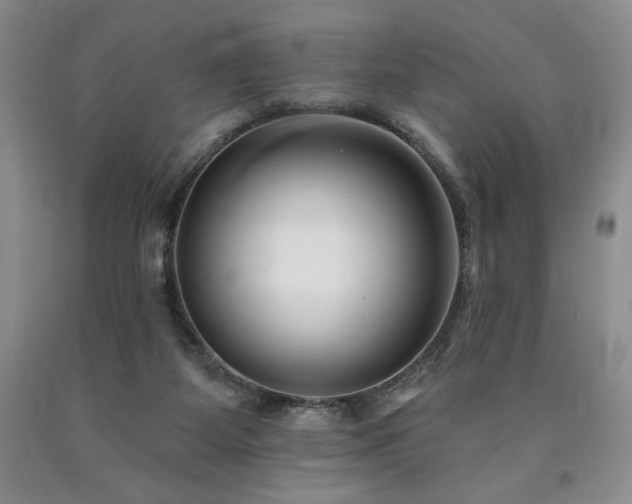 X0000090870115200707271258