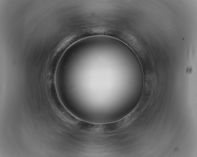 X0000090870116200707271258