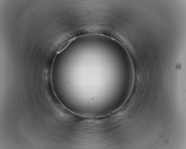 X0000090870117200707271258