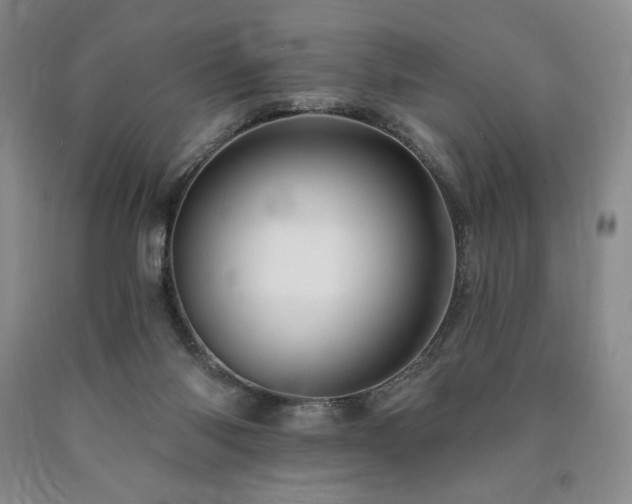 X0000090870118200707271258