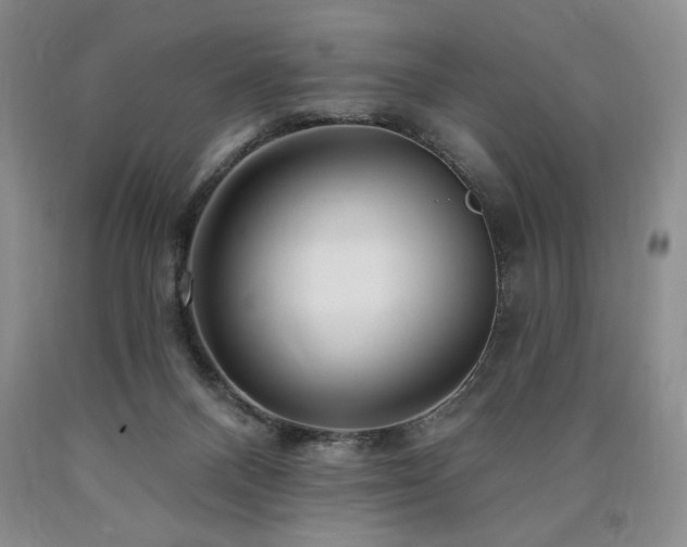 X0000090870120200707271258