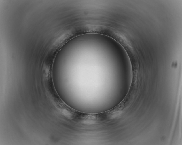 X0000090870123200707271258