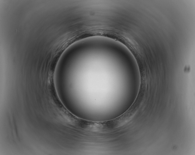 X0000090870125200707271258