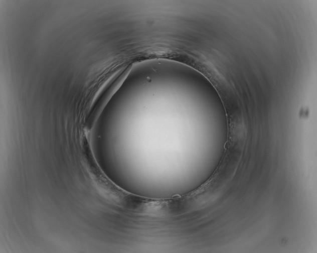 X0000090870126200707271258