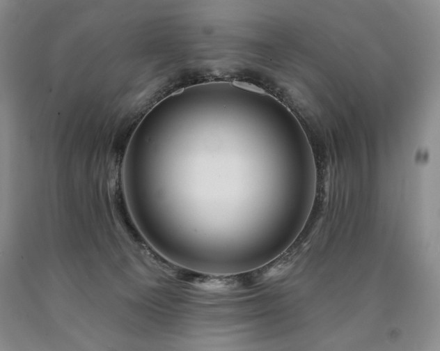 X0000090870129200707271258