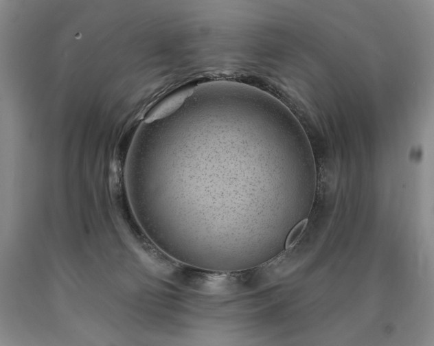 X0000090870130200707271258