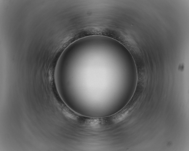 X0000090870131200707271258