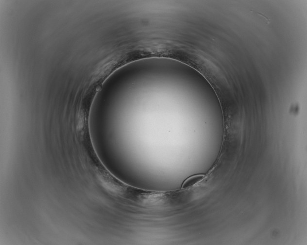 X0000090870132200707271258