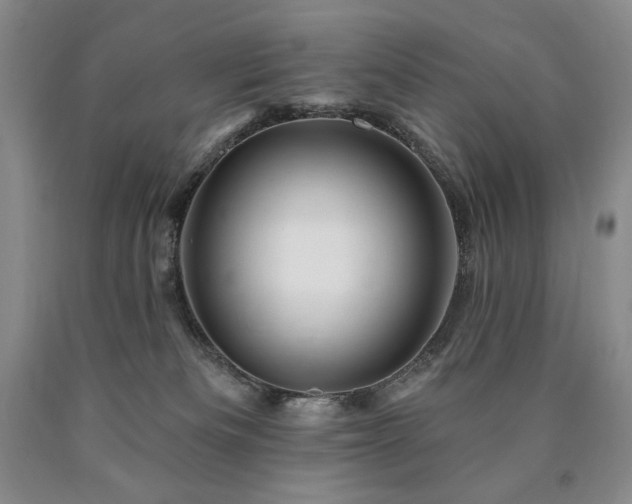 X0000090870133200707271258