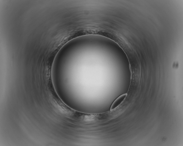 X0000090870134200707271258