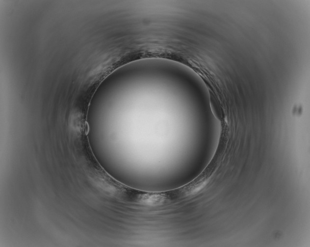 X0000090870135200707271258