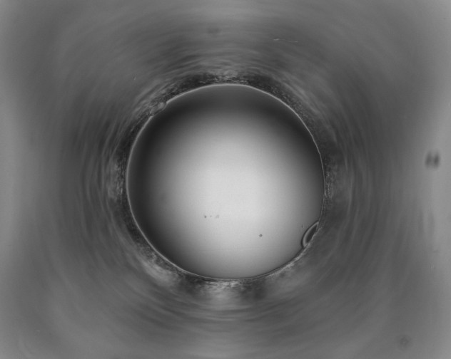 X0000090870136200707271258