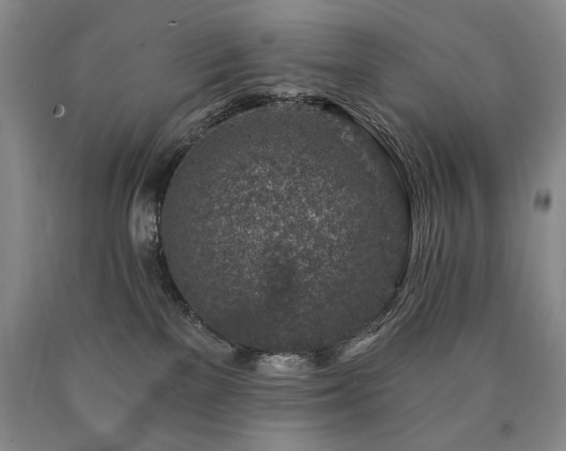 X0000090870137200707271258