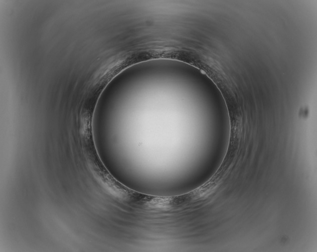 X0000090870138200707271258