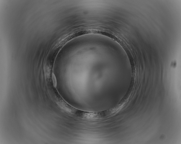 X0000090870139200707271258