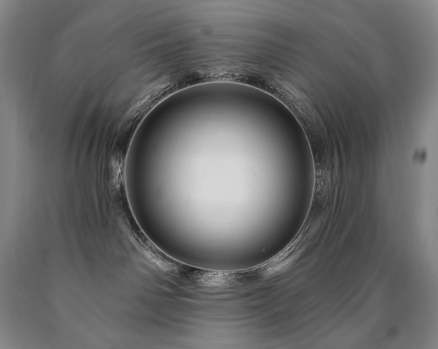 X0000090870142200707271258